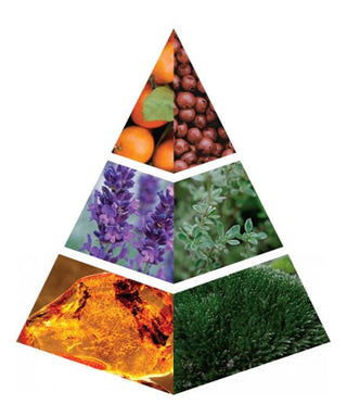 Naseem Wild Impulse 75 ml N02009