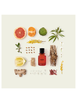 Fugazzi Workaholic 50 ml N01108