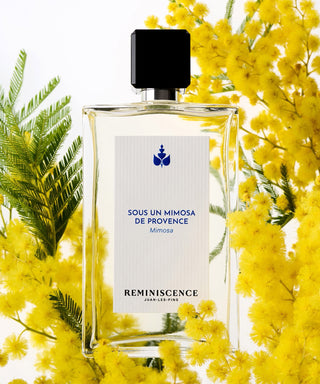 Reminiscence Sous un Mimosa de Provence Intense 100 ml N02545