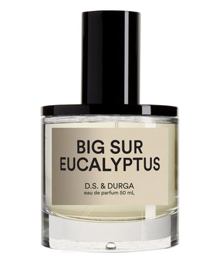 D.S. & Durga Big Sur Eucalyptus 50 ml N00717-01