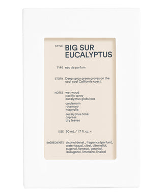 D.S. & Durga Big Sur Eucalyptus 50 ml N00717-01