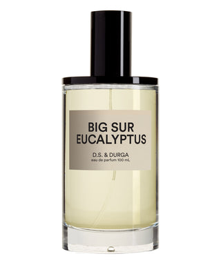 D.S. & Durga Big Sur Eucalyptus 100 ml N00717-02