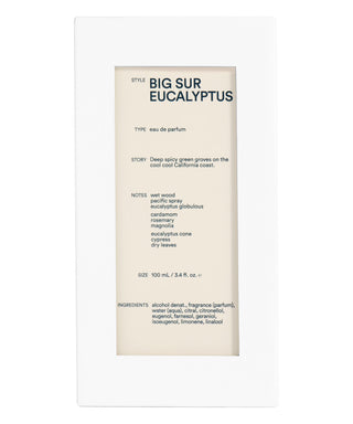 D.S. & Durga Big Sur Eucalyptus 100 ml N00717-02