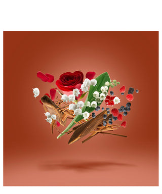 Xerjoff Damarose 50 ml N02999