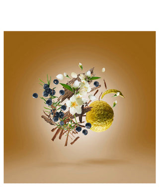 Xerjoff Fars 50 ml N03016