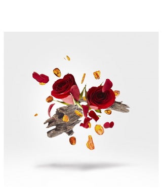 Xerjoff Elixir 15 ml N03008