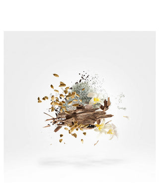 Xerjoff Symphonium 100 ml N03066