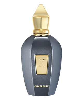 Xerjoff Ouverture 100 ml N03054-02