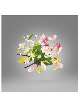 Xerjoff Ouverture 100 ml N03054