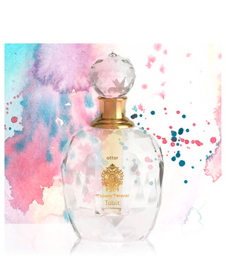 Tiziana Terenzi Tabit 13 ml N02835