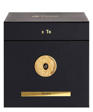 Tiziana Terenzi Gumin 100 ml N02796-01