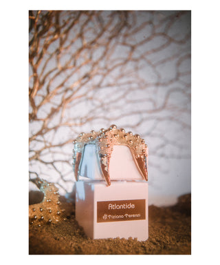 Tiziana Terenzi Atlantide 100 ml N02767