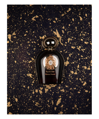 Tiziana Terenzi Hyakutake 100 ml N02799