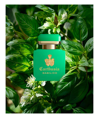 Carthusia i Profumi di Capri Intenso di Basilico 50 ml N00519