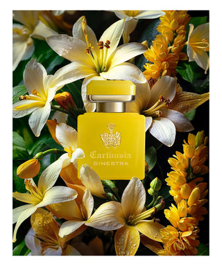 Carthusia i Profumi di Capri Intenso di Ginestra 50 ml N00520