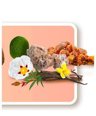 iPiccirilli Jasmilk 30 ml N01249