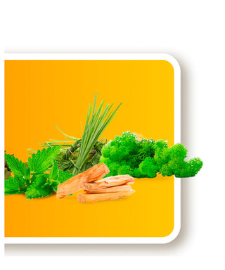 iPiccirilli Mandarino Malandrino 30 ml N01250