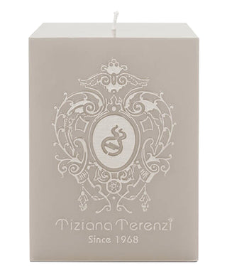 Tiziana Terenzi White Fire Dama 950 g N05499-01