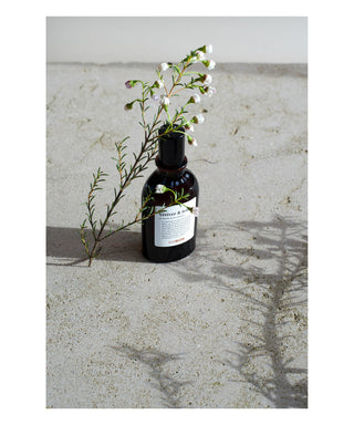 L'Atelier 100BON Vetiver & Iris 50 ml N01492