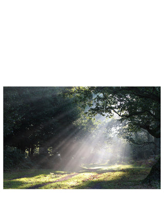 J-Scent Shaft of Light 50 ml N01274