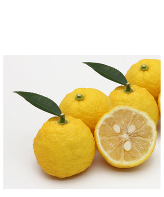 J-Scent Yuzu 50 ml N01279