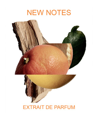 New Notes Akigala Mandarino 50 ml N02028