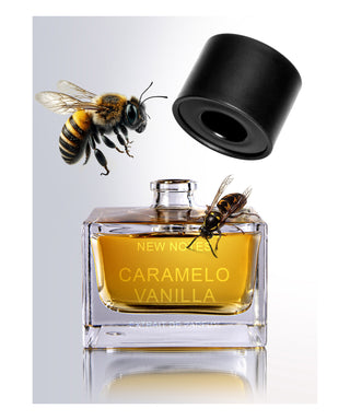 New Notes Caramelo Vanilla 50 ml N02030