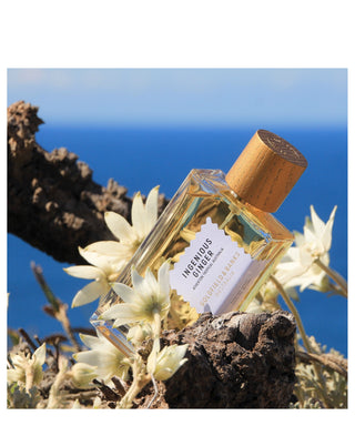 Goldfield & Banks Ingenious Ginger 100 ml N01143