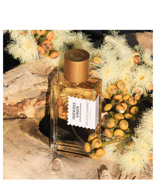 Goldfield & Banks Ingenious Ginger 100 ml N01143