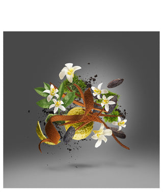 Xerjoff Homme Anniversary 50 ml N03026