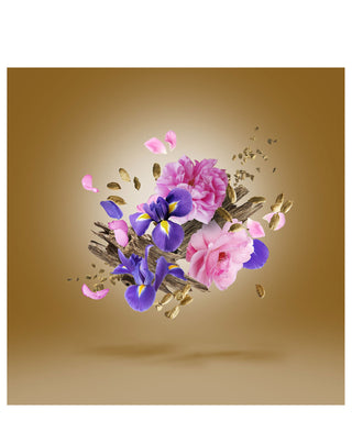 Xerjoff Alexandria II Anniversary 100 ml N02981