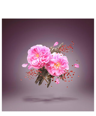 Xerjoff Black Sukar 15 ml N02992