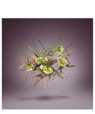 Xerjoff Java Blossom 15 ml N03031