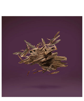 Xerjoff Kampuchea Noir 15 ml N03033