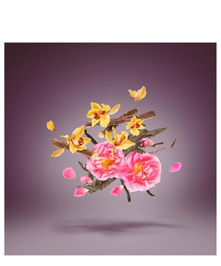 Xerjoff King Masarat 15 ml N03035