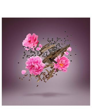 Xerjoff Oud Luban 15 ml N03053