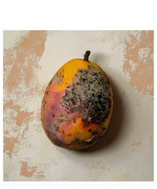 Born to Stand Out Black Mango 50 ml N00406