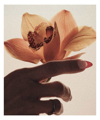 D.S. & Durga Brown Flowers 50 ml N00721