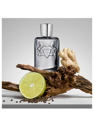 Parfums de Marly Castley 75 ml N02311