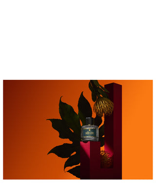 Aedes de Venustas Sueño Latino 100 ml N00030