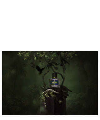 Aedes de Venustas Sueño Latino 100 ml N00030