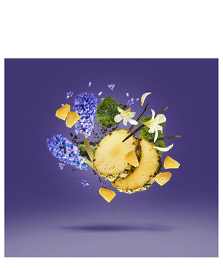 Xerjoff Purple Accento 100 ml N03057