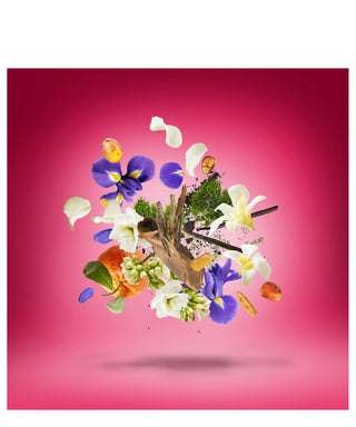 Xerjoff Coro 50 ml N02996