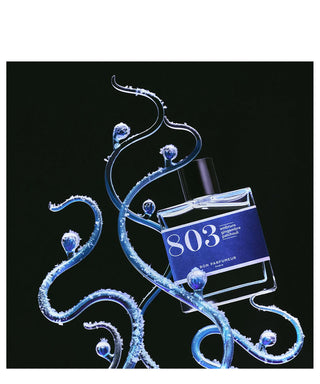 Bon Parfumeur 803 15 ml N00342