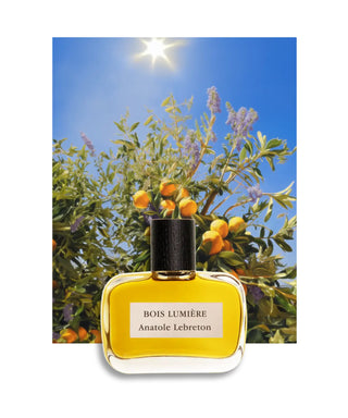 Anatole Lebreton Bois Lumière Eau de Parfum 50 ml Flacone profumo N00088_amb