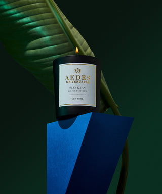 Aedes de Venustas Sian Ka’An 180 g Candela profumata N04934-amb