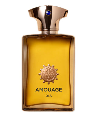 Amouage Dia Man 100 ml N05569-01