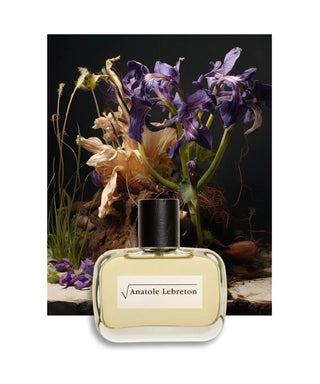 Anatole Lebreton Racine Carrée Eau de Parfum 50 ml Flacone profumo N05634_amb