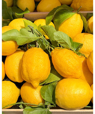 BDK Parfums Citrus Riviera 100 ml N05640