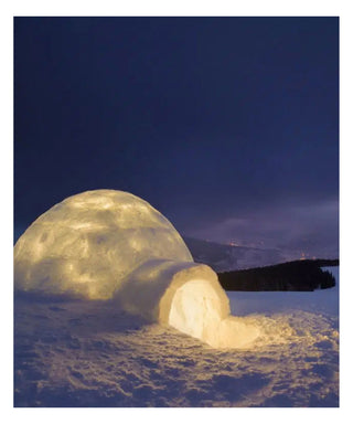 Maison Crivelli Absinthe Boréale 100 ml N05700